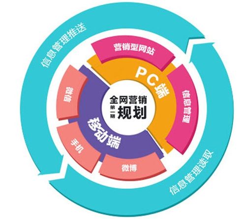 网络营销成功之路 关键阶段与实战策略详解