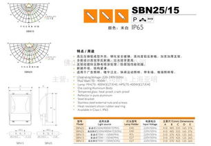网络工程 构筑数字时代的互联基石